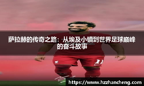 快盈VIII