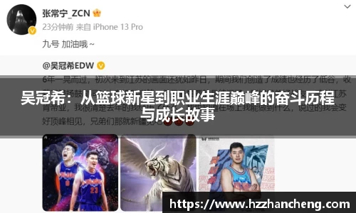 快盈VIII
